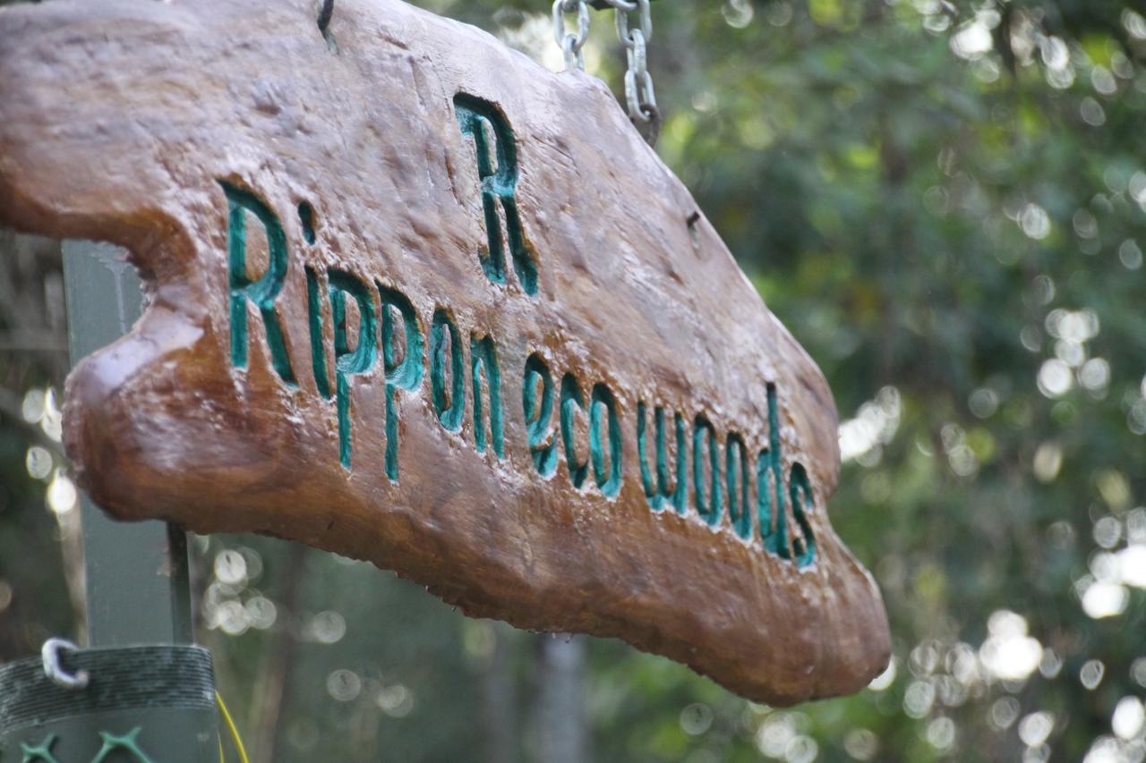 Vila Rippon Eco Woods Kalpatta Exteriér fotografie